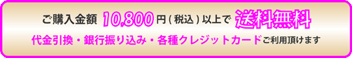 送料無料2